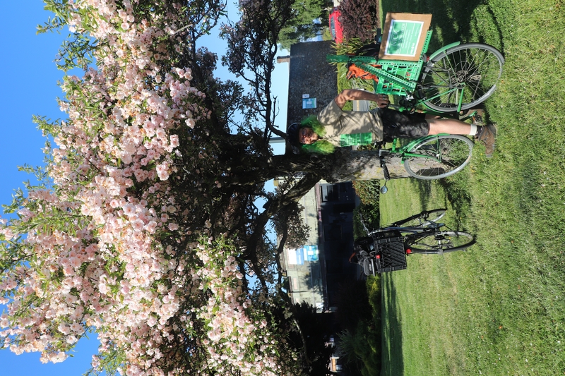 Nick wearing his Green nomination campaign shirt by his bike in front of a flowering crab apple