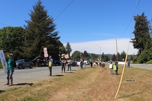Grassy boulevard with sign carrying protesters lining the road edge