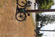 Bikes locked to hydro poles with blow up orca