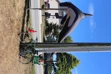 Nick's Green bike next to blow up orca.